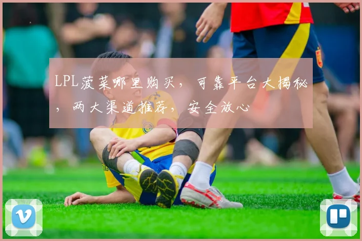 LPL菠菜哪里购买，可靠平台大揭秘，两大渠道推荐，安全放心